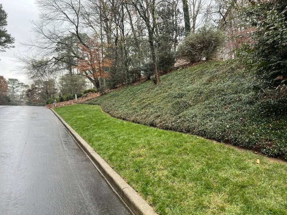 Top-rated landscape design for year-round maintenance in Atlanta, GA by Bernardo and Son
