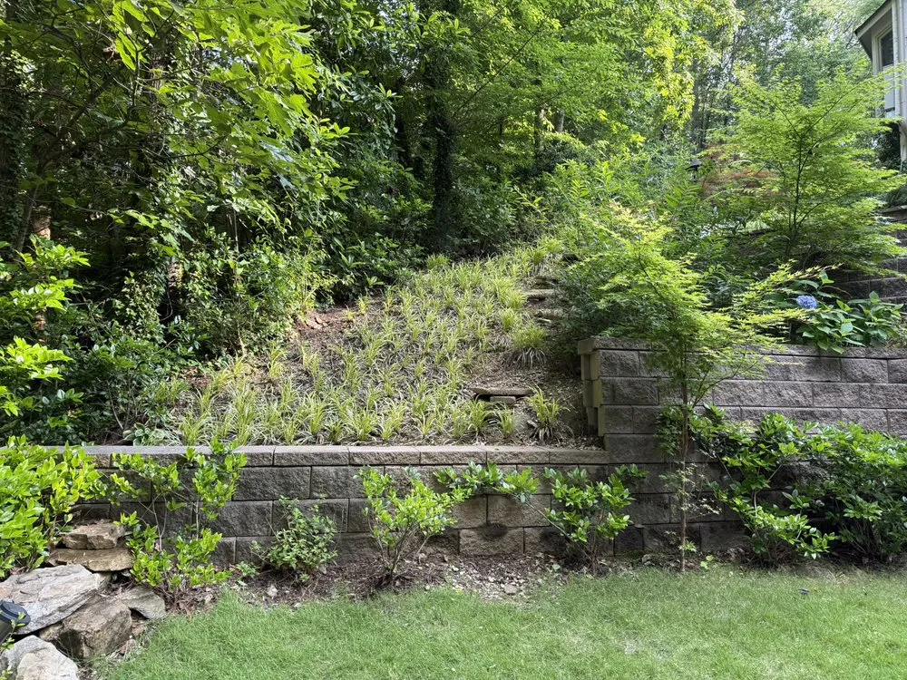 Reliable landscaping services experts serving Atlanta, GA - Bernardo and Son Landscaping