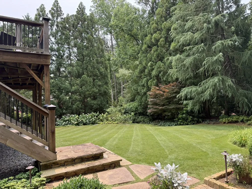 Reliable lawn care service for outdoor upgrades in Atlanta, GA by Bernardo and Son Landscaping