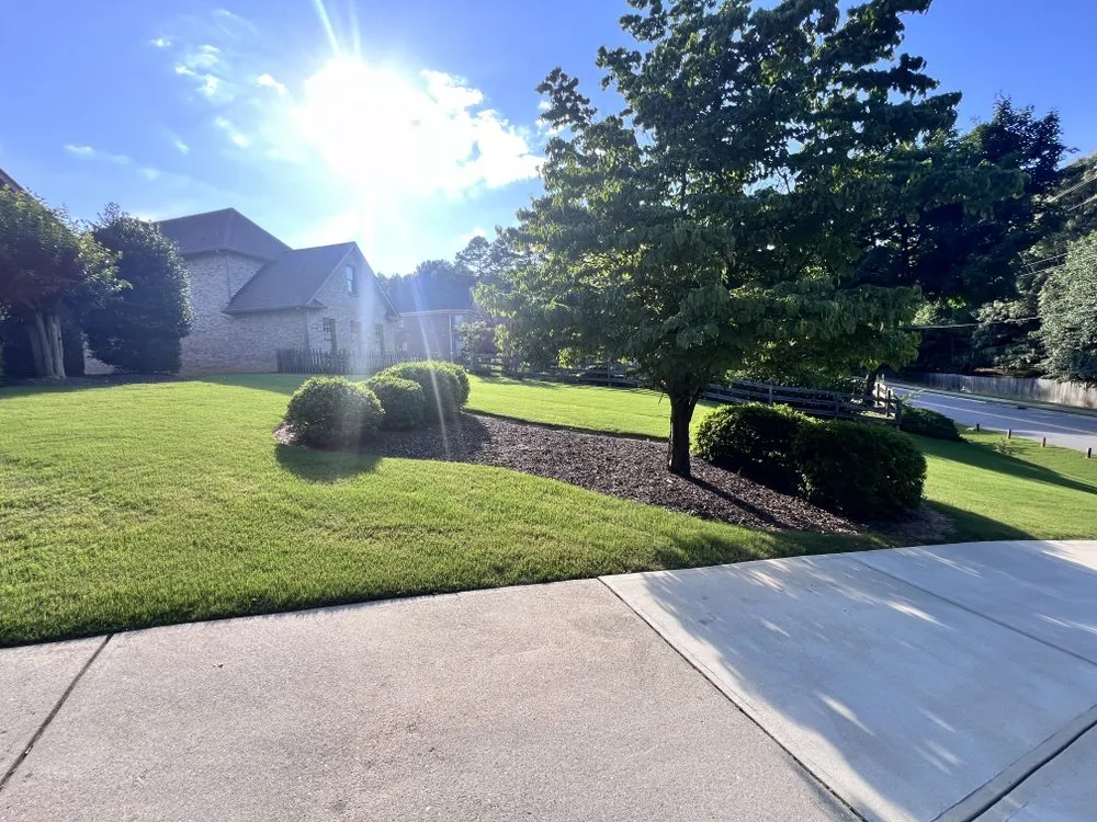Affordable landscaping services in Atlanta, GA by Bernardo and Son Landscaping