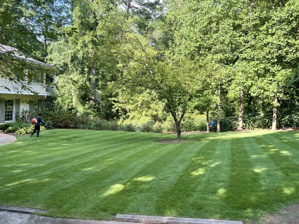 Expert yard cleanup service with custom design across Atlanta, GA - Bernardo and Son Landscaping