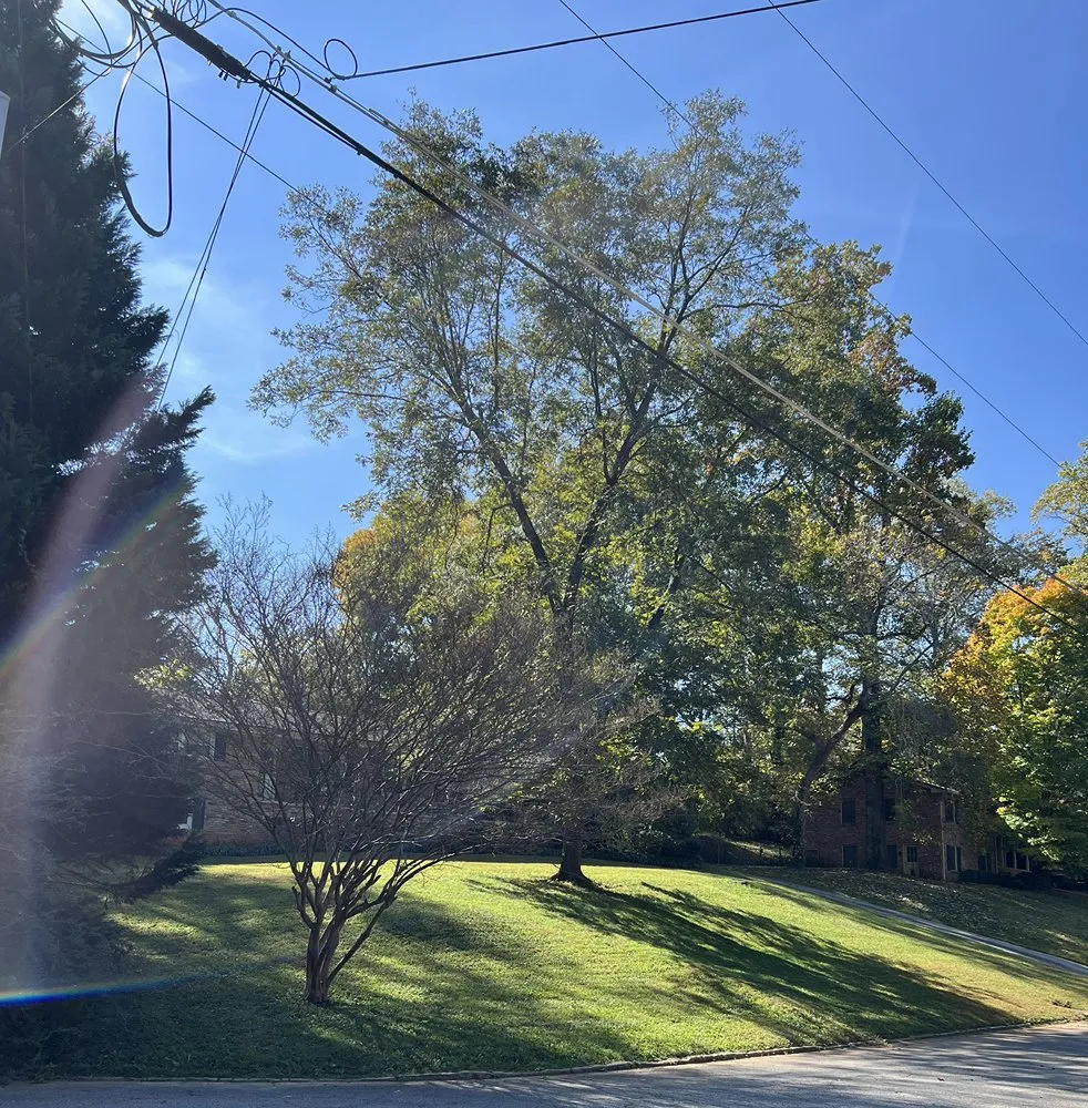 Affordable landscaping services for homes in Atlanta, GA by Bernardo and Son Landscaping