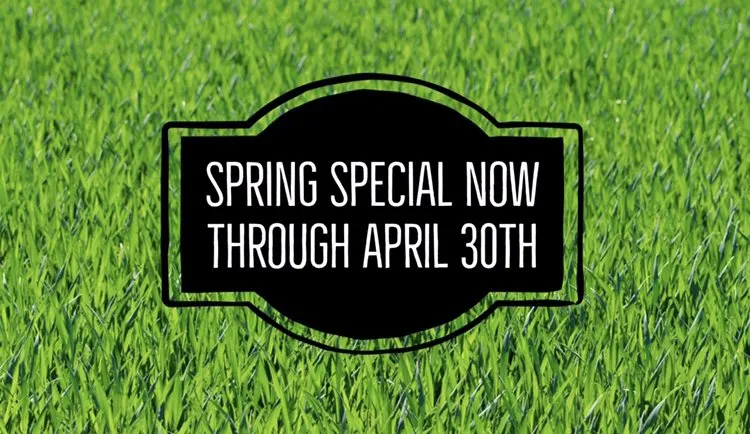 Custom lawn care service in Collierville, TN by Bernardo Lawn Services