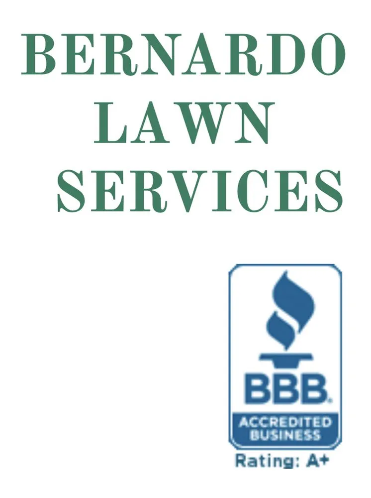 Top-rated yard maintenance in Collierville, TN by Bernardo Lawn Services