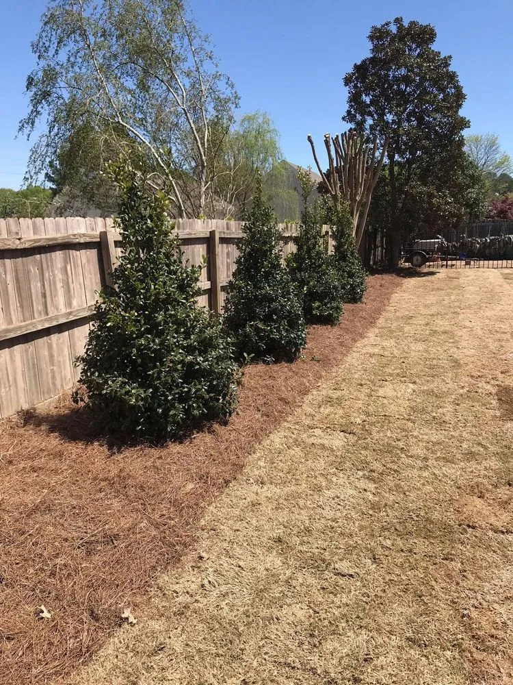 Custom yard maintenance in Collierville, TN by Bernardo Lawn Services