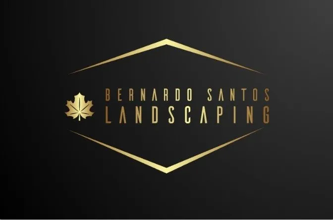 Expert lawn mowing service experts serving Fruitvale, TX - Bernardo Santos Landscaping