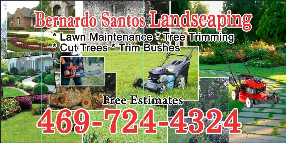 Custom landscape installation experts serving Fruitvale, TX - Bernardo Santos Landscaping