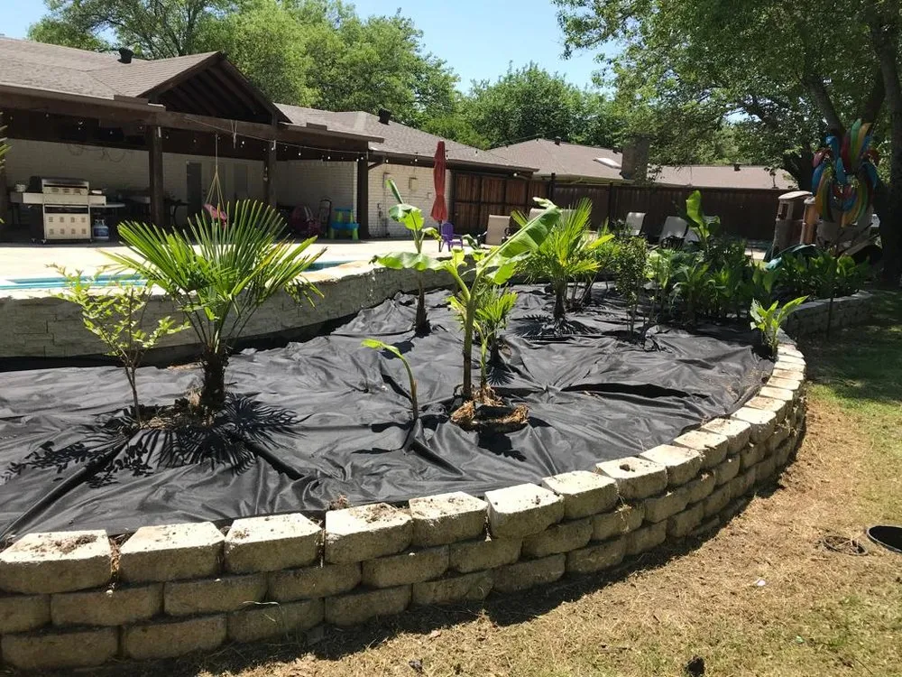 Trusted yard cleanup service for beautiful yards in Fruitvale, TX by Bernardo Santos Landscaping