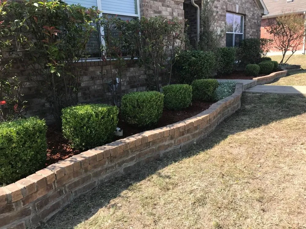 Professional landscape design in Fruitvale, TX - Bernardo Santos Landscaping