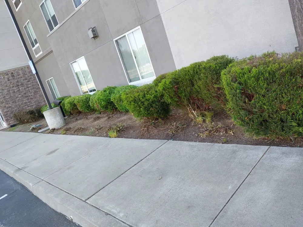 Professional outdoor landscaping in Vacaville, CA - Bernardo velazquez