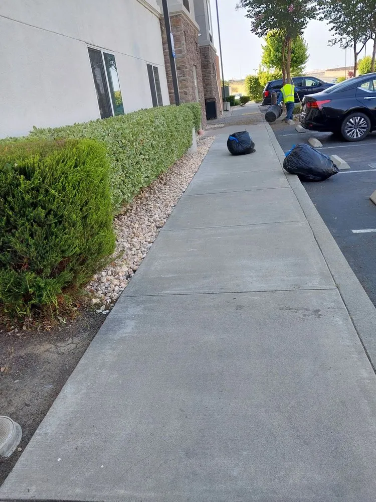 Professional landscaping services near you across Vacaville, CA - Bernardo velazquez