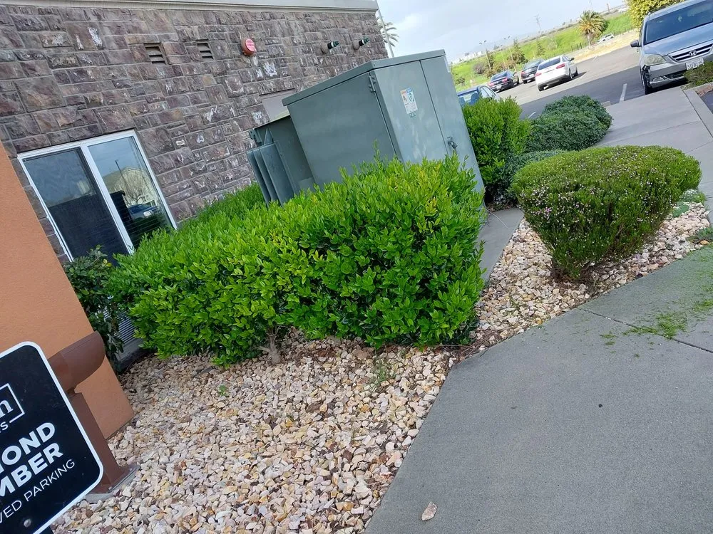 Custom landscape installation in Vacaville, CA by Bernardo velazquez