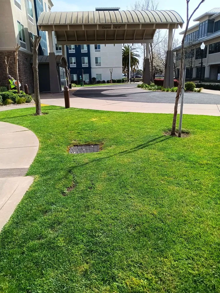 Custom garden landscaping experts serving Vacaville, CA - Bernardo velazquez