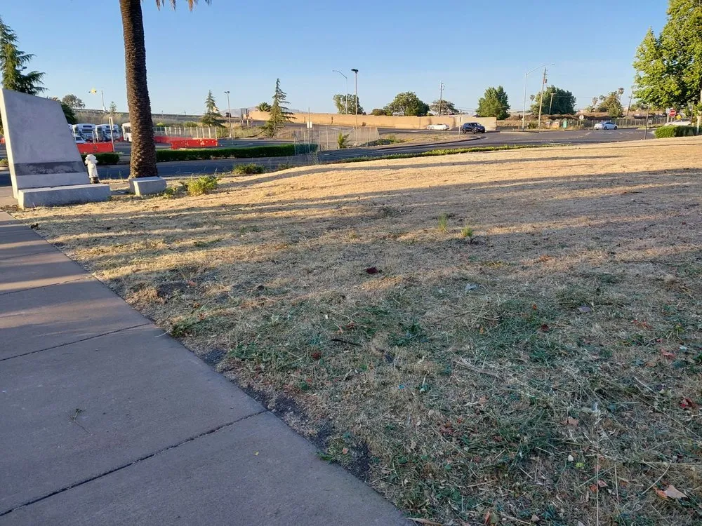 Local landscape design with custom design in Vacaville, CA by Bernardo velazquez