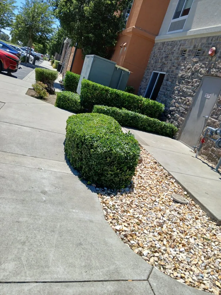 Custom residential landscaping for homes across Vacaville, CA - Bernardo velazquez