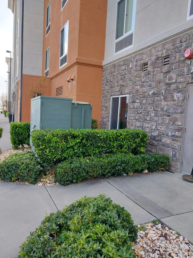 Trusted landscape installation for beautiful yards across Vacaville, CA - Bernardo velazquez