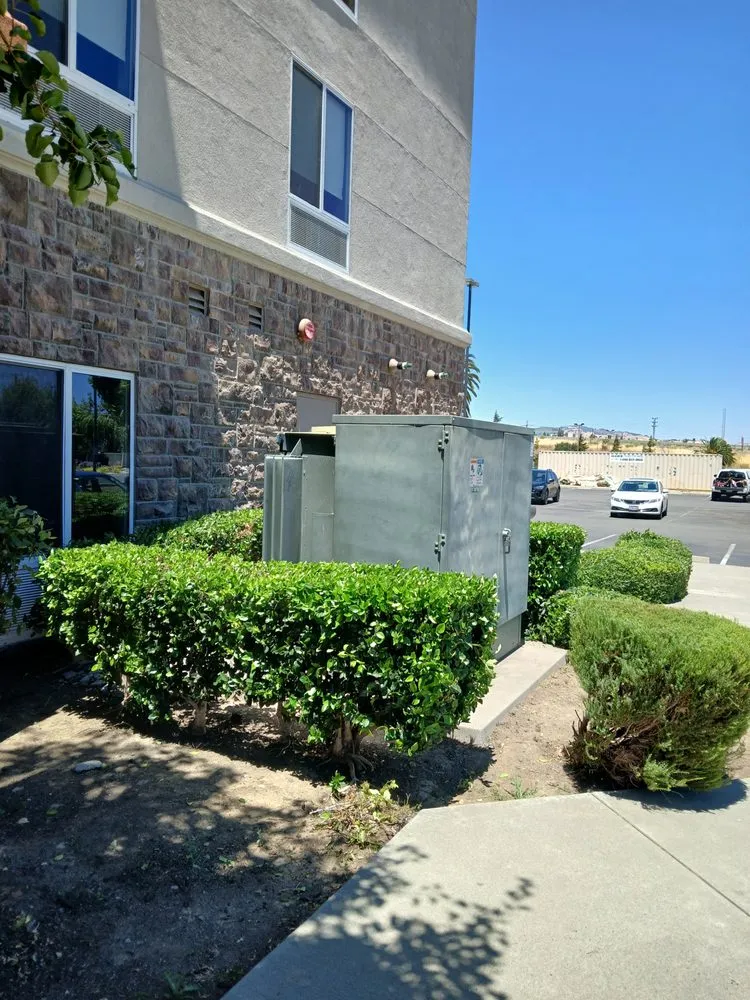 Custom yard cleanup service in Vacaville, CA by Bernardo velazquez