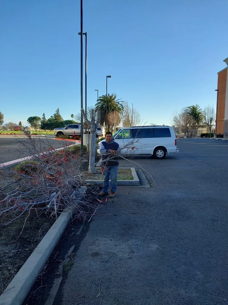 Reliable residential landscaping for outdoor upgrades in Vacaville, CA by Bernardo velazquez