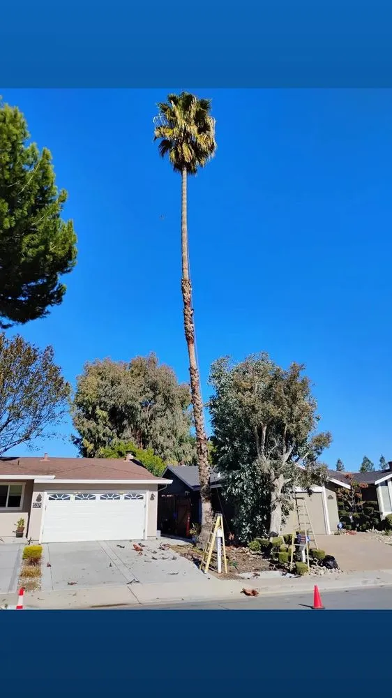 Reliable garden landscaping with custom design in San Jose, CA by Bernards Fencing