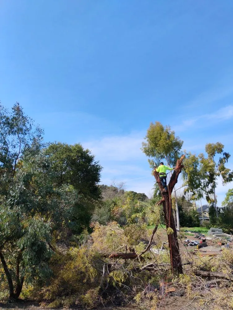 Trusted landscape design experts serving San Jose, CA - Bernards Fencing