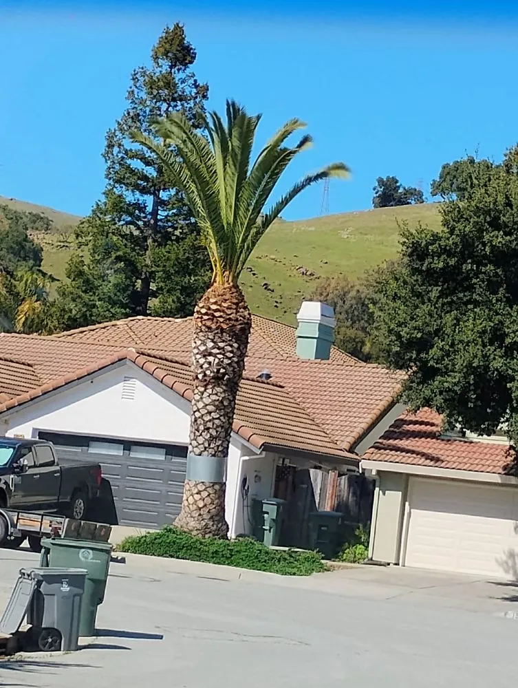 Local landscaping services experts serving San Jose, CA - Bernards Fencing