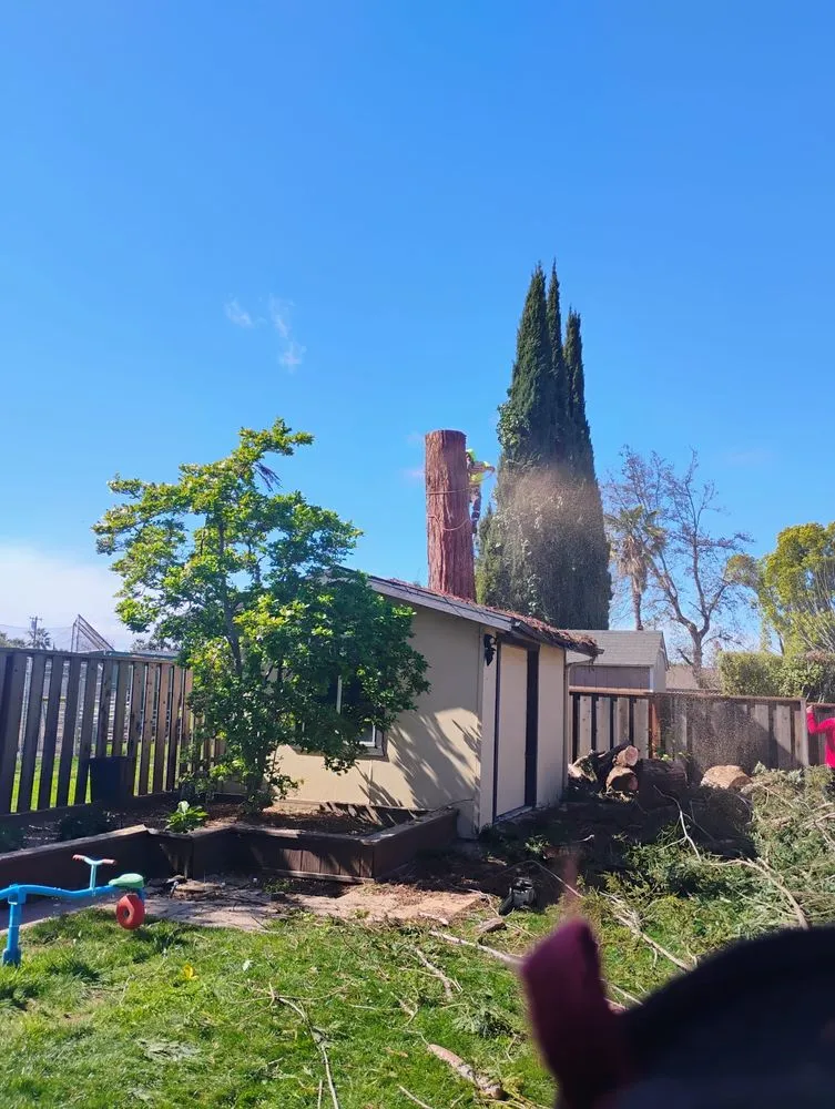 Expert residential landscaping in San Jose, CA - Bernards Fencing