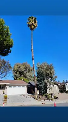 Bernards Fencing Logo