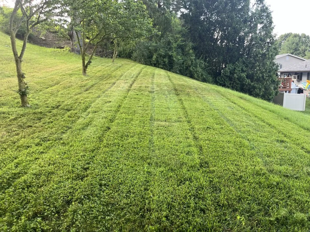 Local yard maintenance near you across Rochester, PA - Bernards Lawn Care