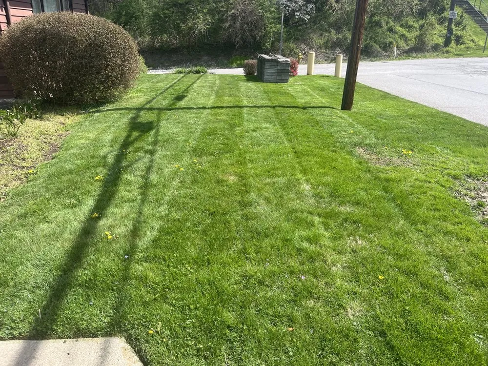 Local outdoor landscaping in Rochester, PA by Bernards Lawn Care