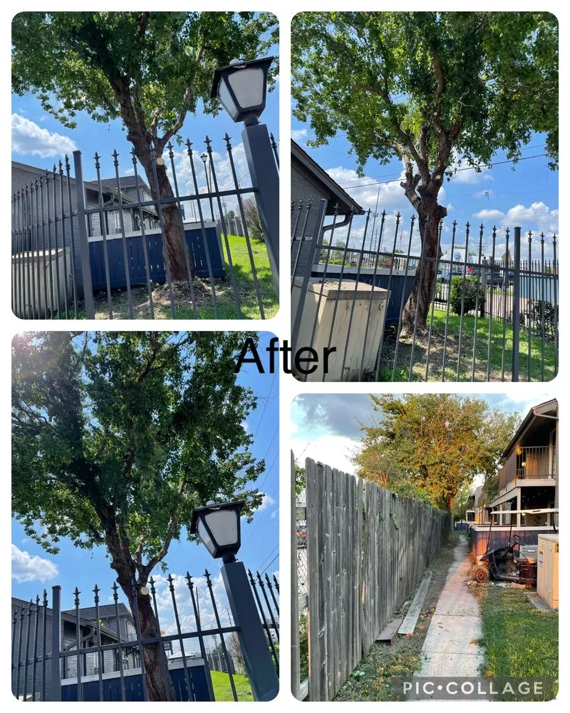 Top-rated residential landscaping with custom design across Elm Grove, LA - Bernell’s Lawn Care Services