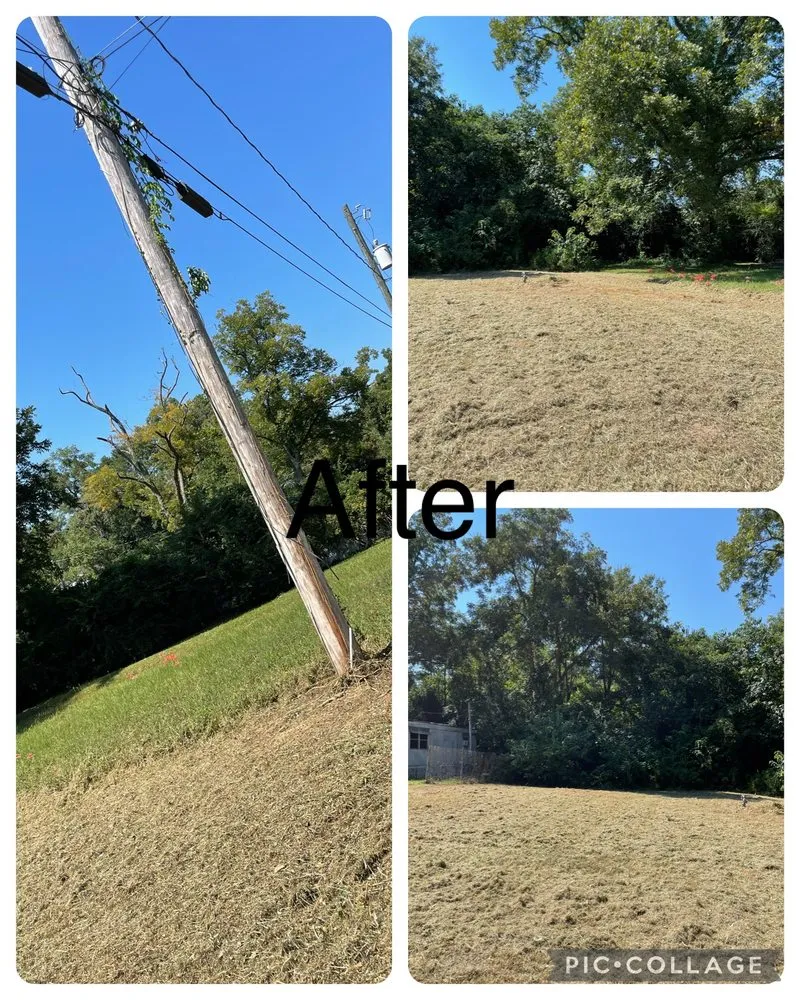 Expert landscaping services in Elm Grove, LA - Bernell’s Lawn Care Services