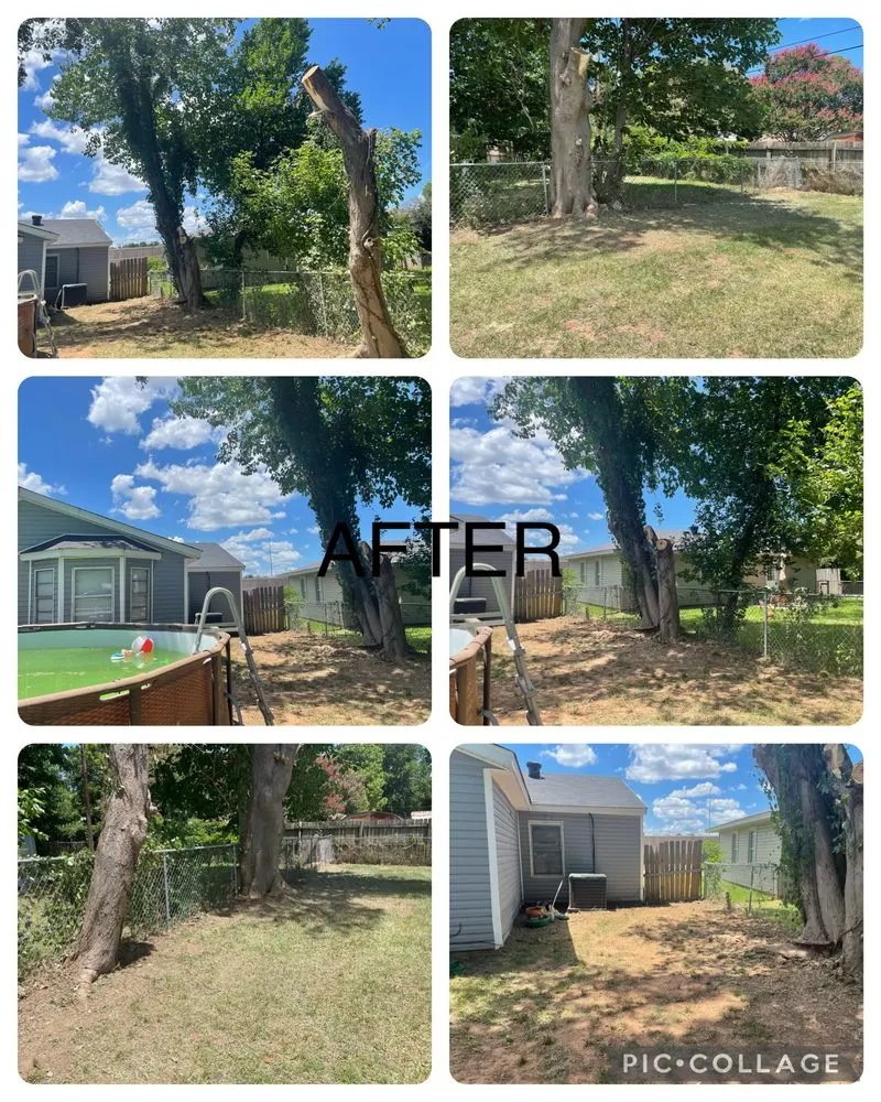 Trusted landscape design in Elm Grove, LA - Bernell’s Lawn Care Services