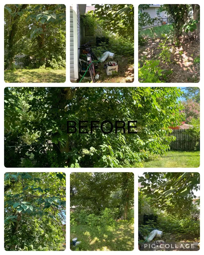 Affordable landscaping services experts serving Elm Grove, LA - Bernell’s Lawn Care Services