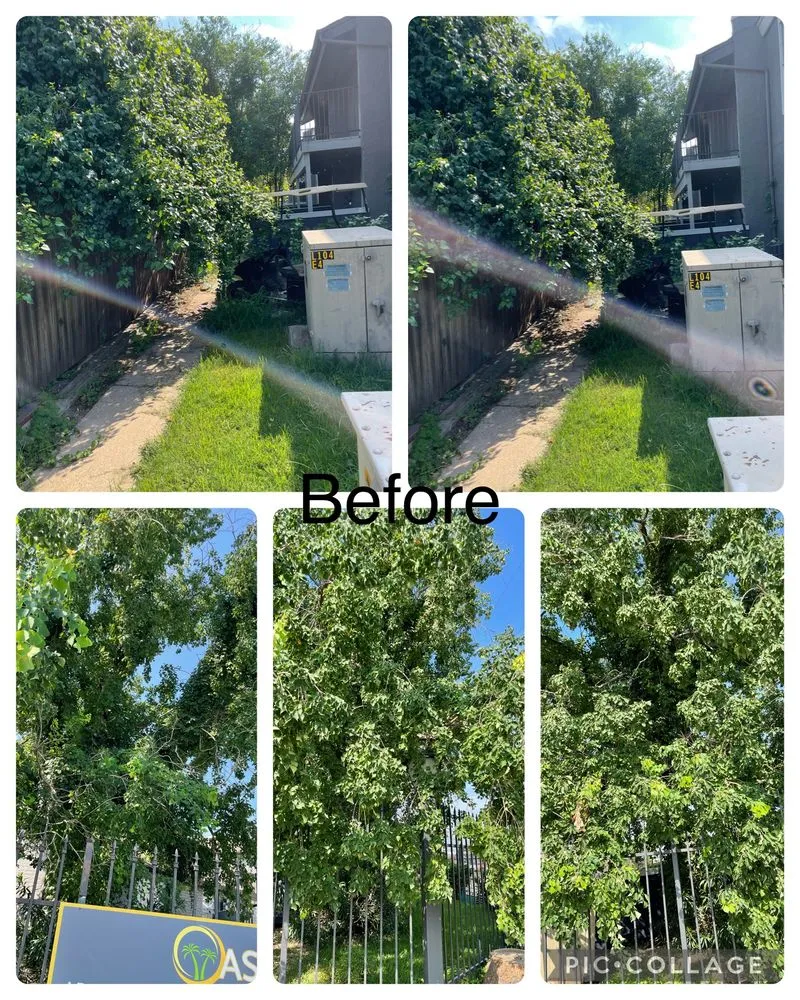 Trusted landscape design for year-round maintenance across Elm Grove, LA - Bernell’s Lawn Care Services