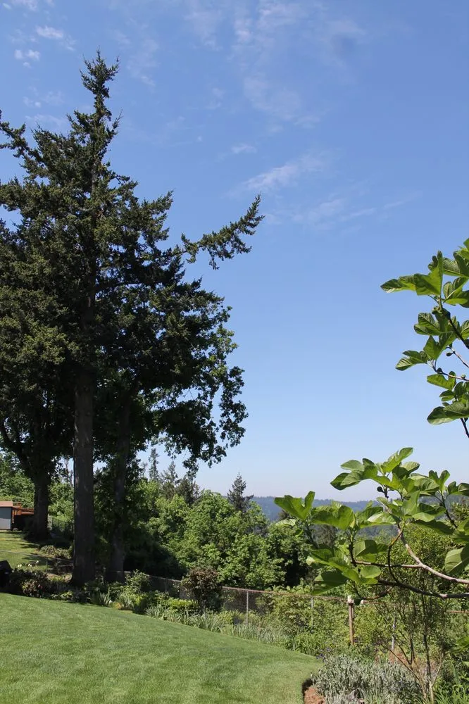 Trusted garden landscaping for beautiful yards in Marylhurst, OR by Bernhard Landscape Maintance