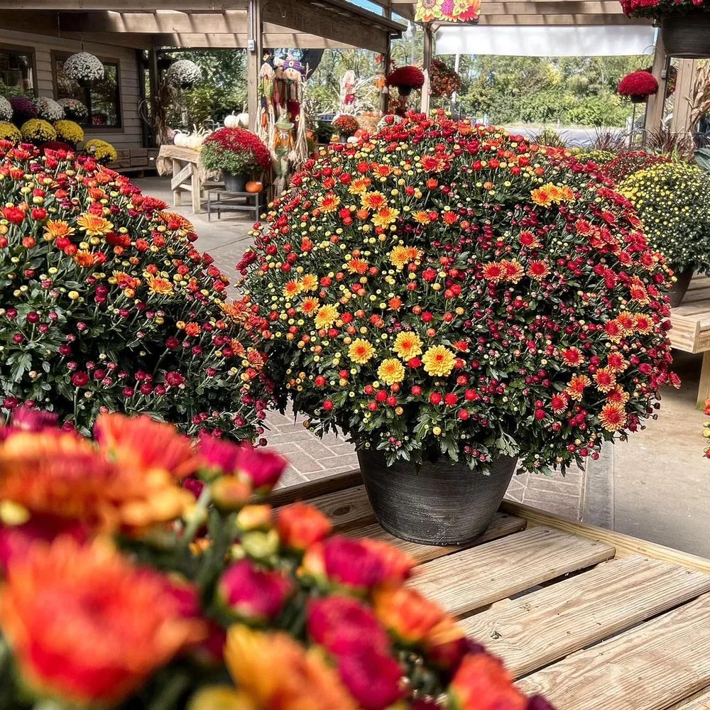 Reliable landscape installation for residential properties across Beavercreek, OH - Berns Garden Center