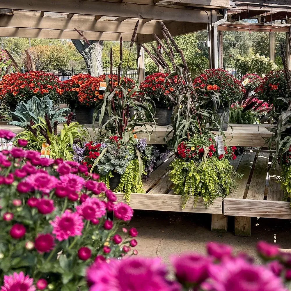 Affordable landscape design near you across Beavercreek, OH - Berns Garden Center