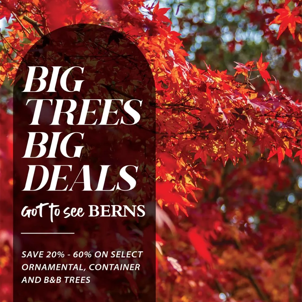 Trusted lawn care service experts serving Beavercreek, OH - Berns Garden Center