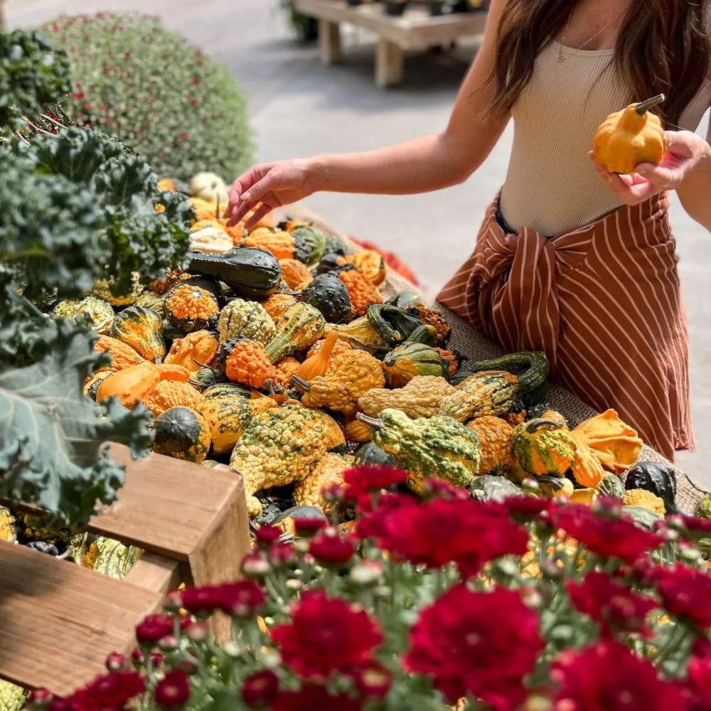 Affordable outdoor landscaping in Beavercreek, OH - Berns Garden Center