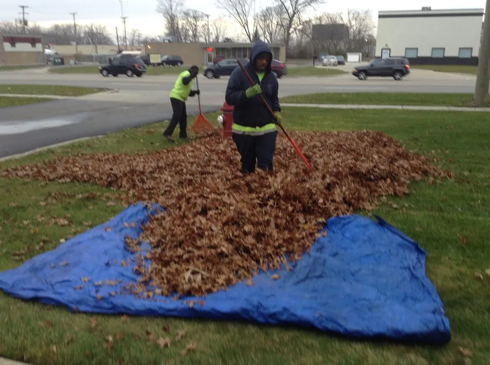 Reliable landscaping services for beautiful yards across Warren, MI - Berns Landscaping