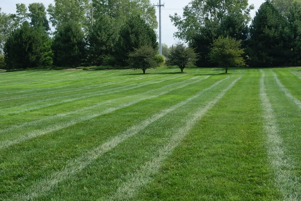 Expert garden landscaping for residential properties across Warren, MI - Berns Landscaping