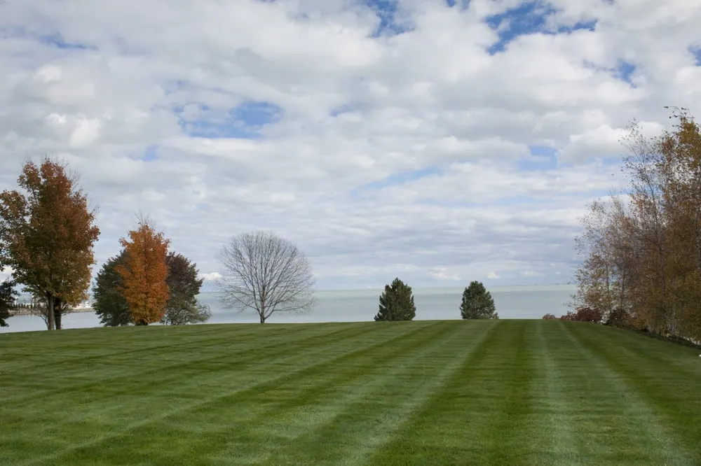 Local landscape design in Warren, MI - Berns Landscaping