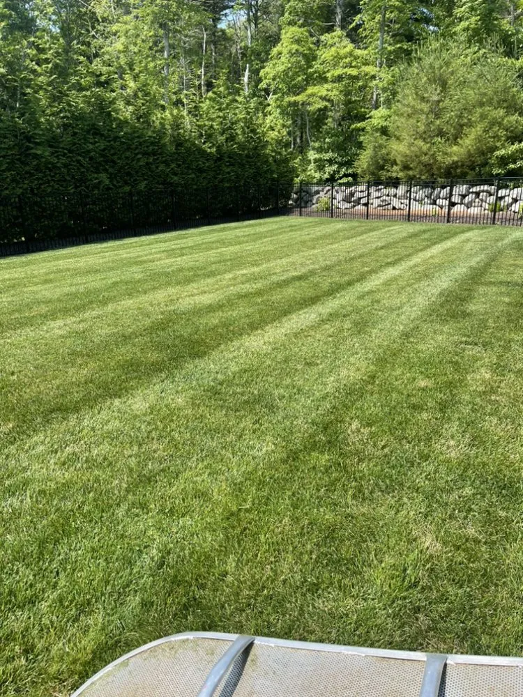 Local yard maintenance for beautiful yards across Fall River, MA - Berrios & Sons Landscaping