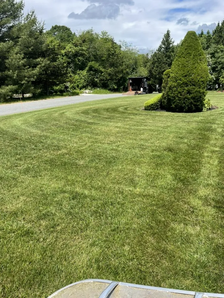 Trusted yard cleanup service for homes in Fall River, MA by Berrios & Sons Landscaping