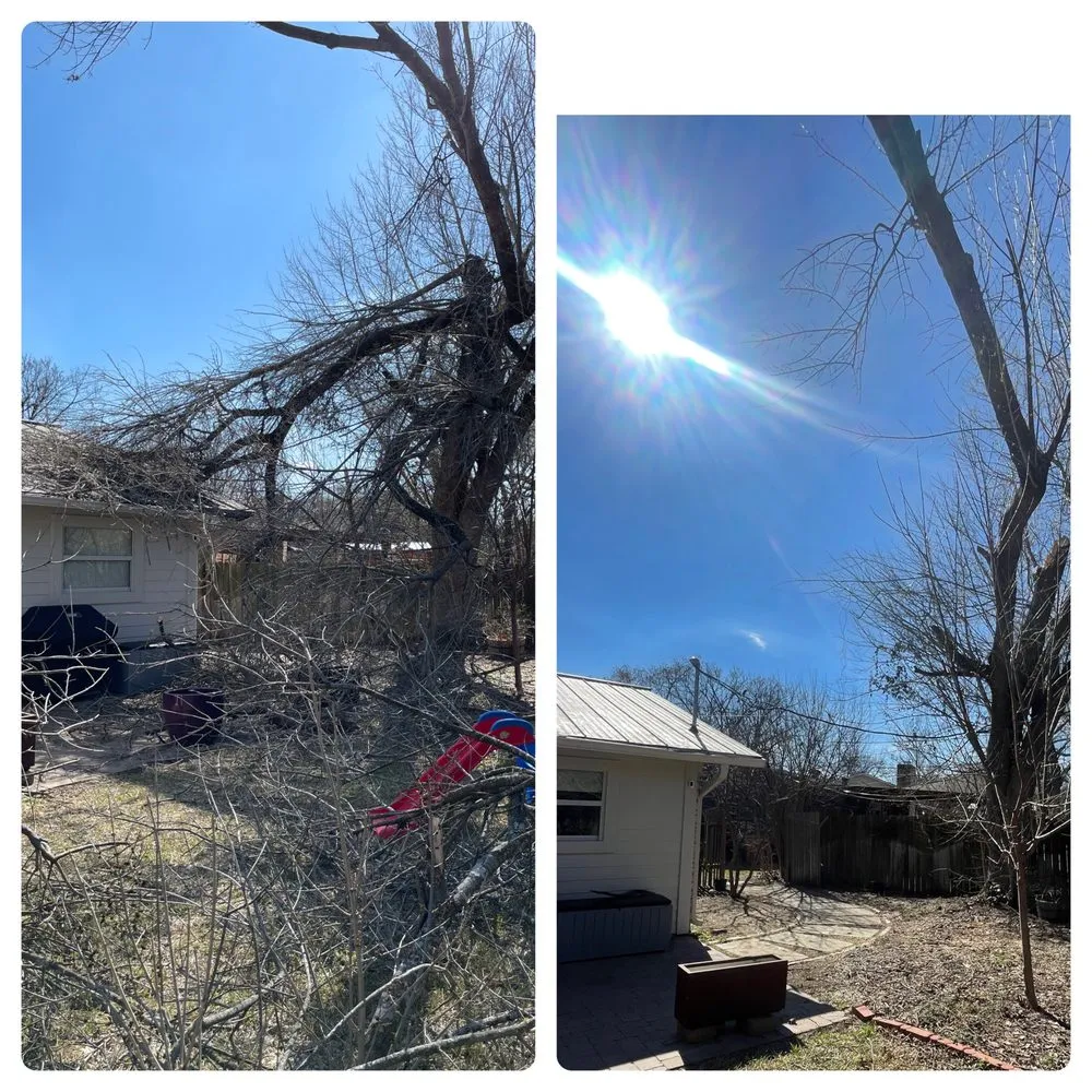 Trusted landscape design for beautiful yards in Lockhart, TX by Berrios Landscaping and More