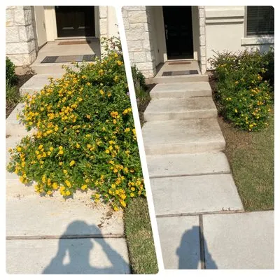 Berrios Landscaping and More Logo