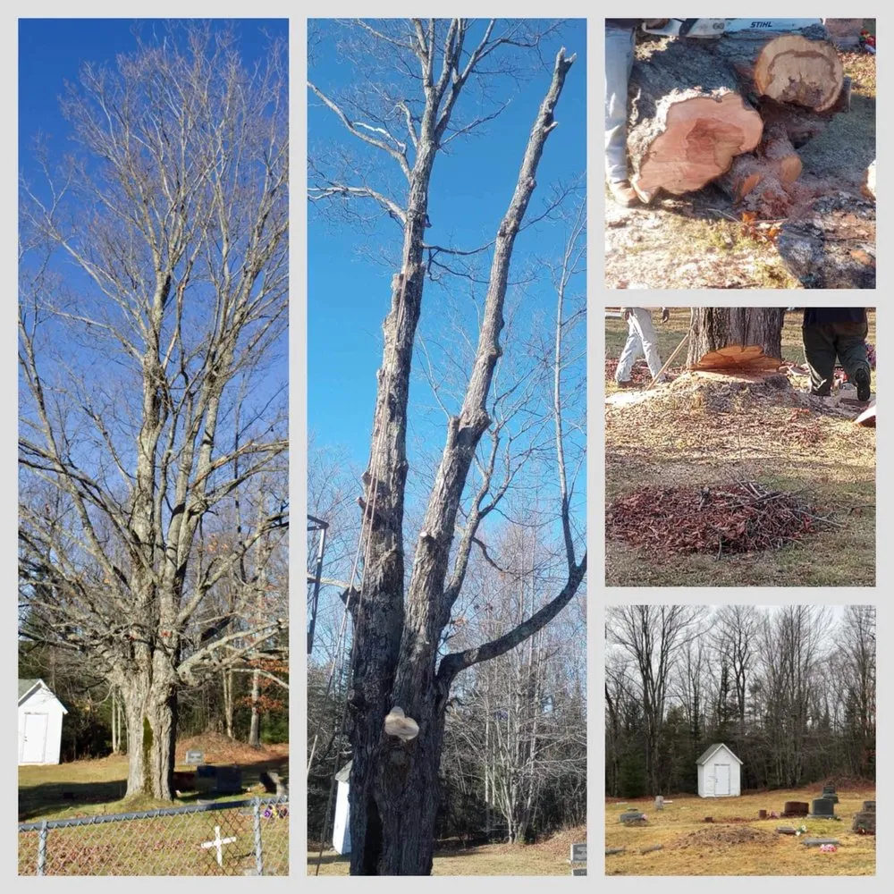 Professional lawn mowing service for beautiful yards in Munising, MI by Berrr Services