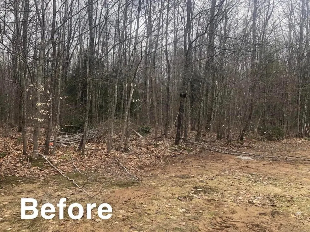 Top-rated yard maintenance for beautiful yards across Munising, MI - Berrr Services