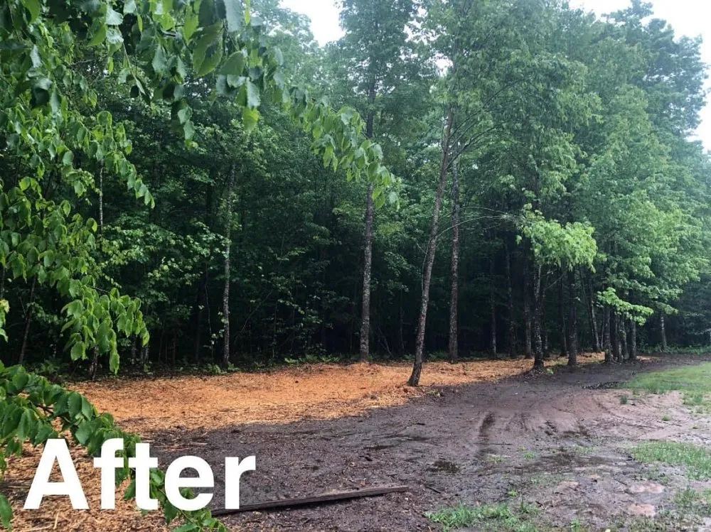 Trusted landscaping services in Munising, MI - Berrr Services