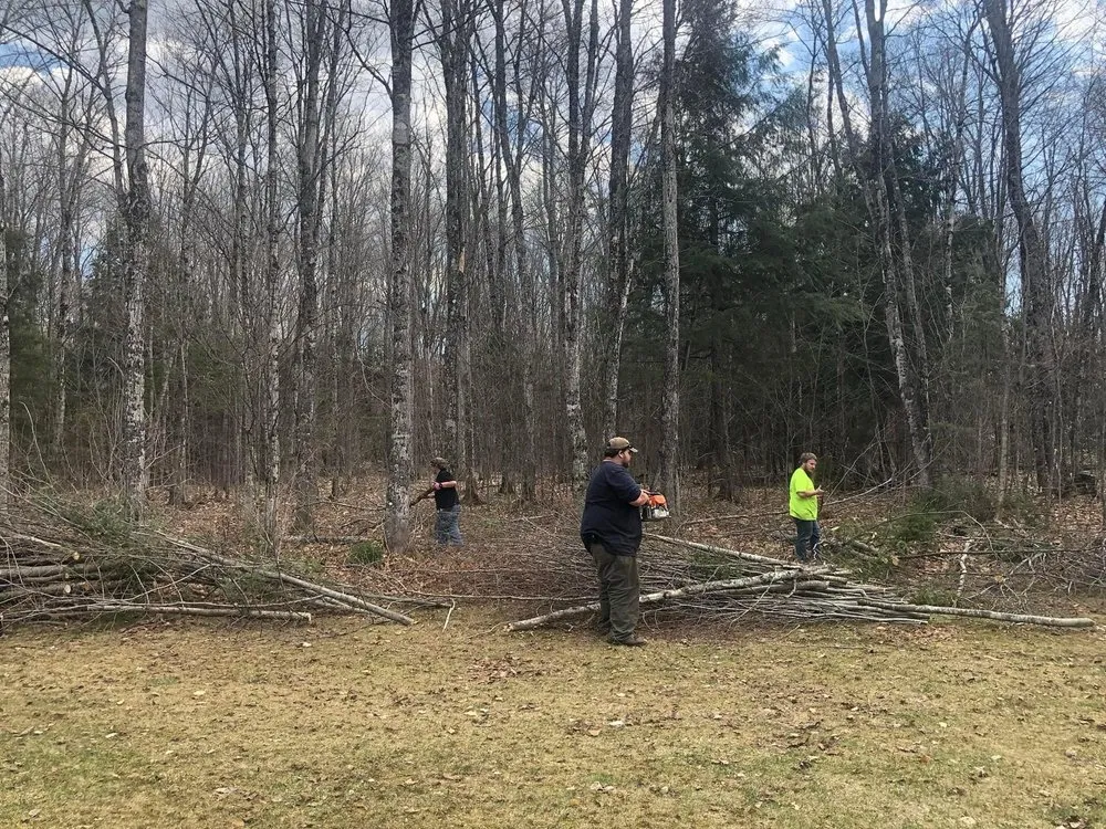 Reliable residential landscaping for outdoor upgrades across Munising, MI - Berrr Services